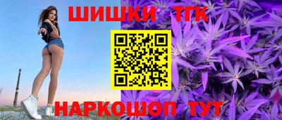 индика Новозыбков