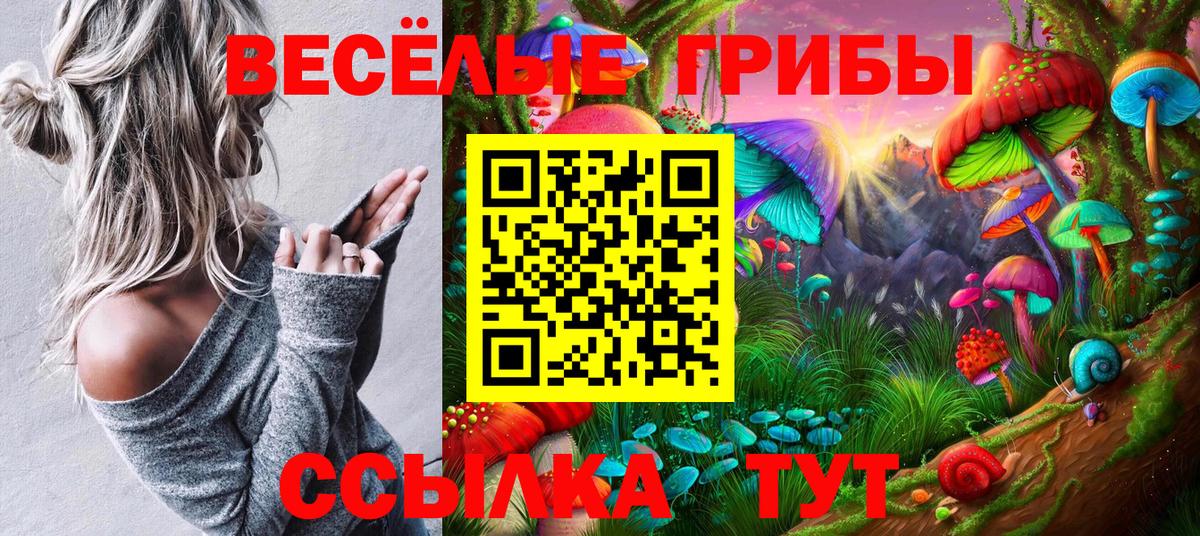 Псилоцибиновые грибы Psilocybine cubensis Среднеуральск